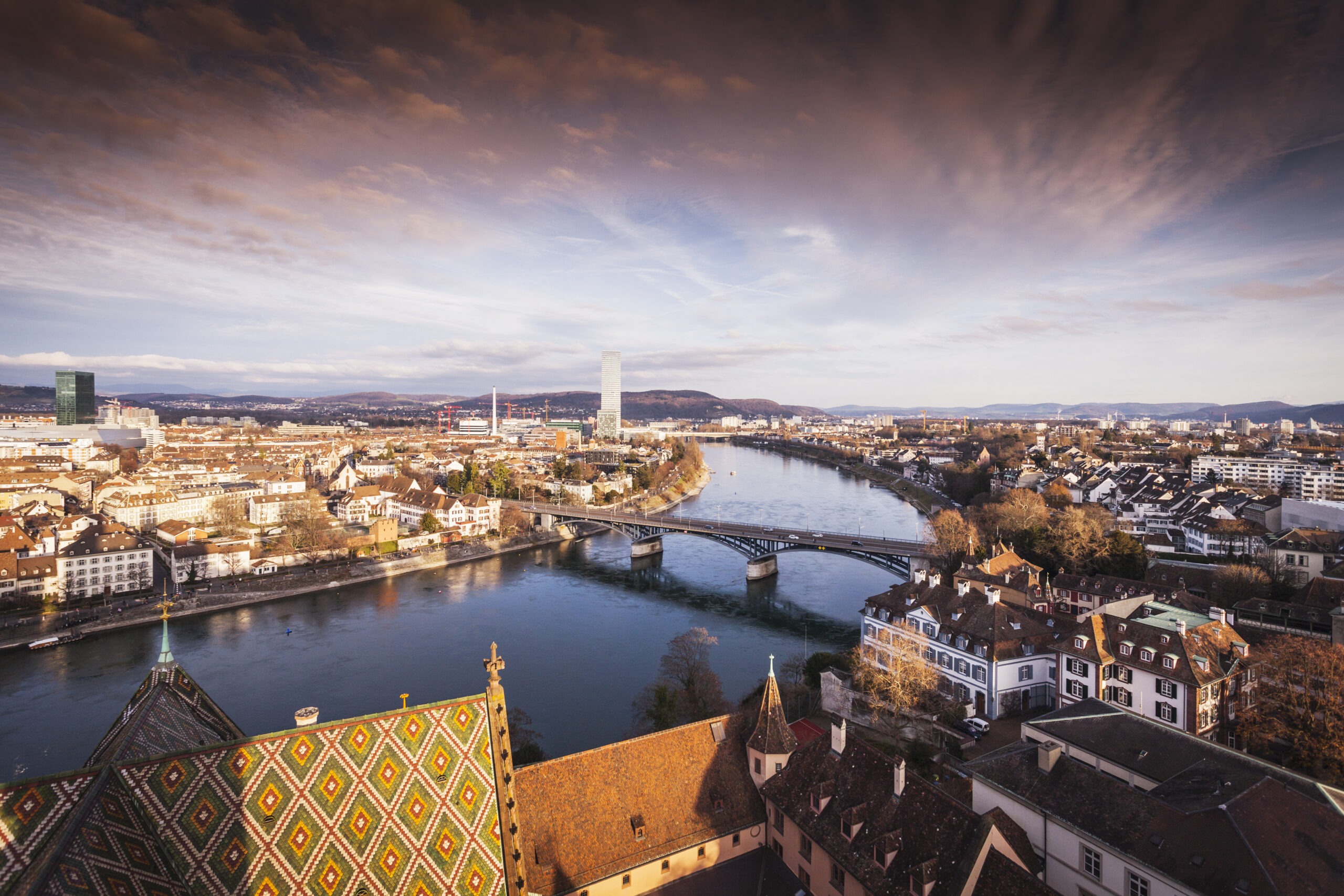 NEUZEITWERBER Webdesign Agentur Bonn – Professionelle Webentwicklung für die Bundesstadt