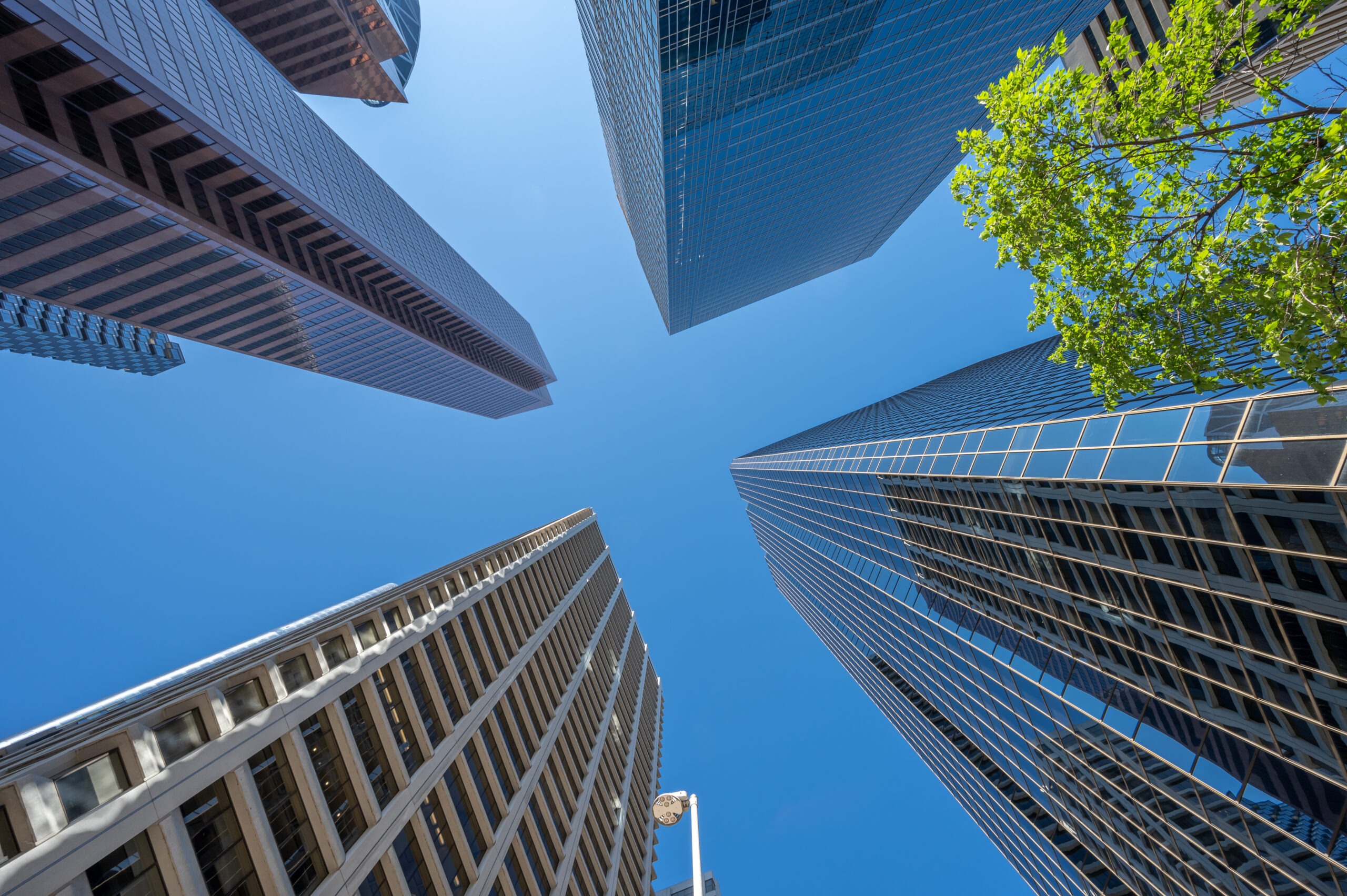 NEUZEITWERBER Referenzprojekt – SEO Immobilienmakler